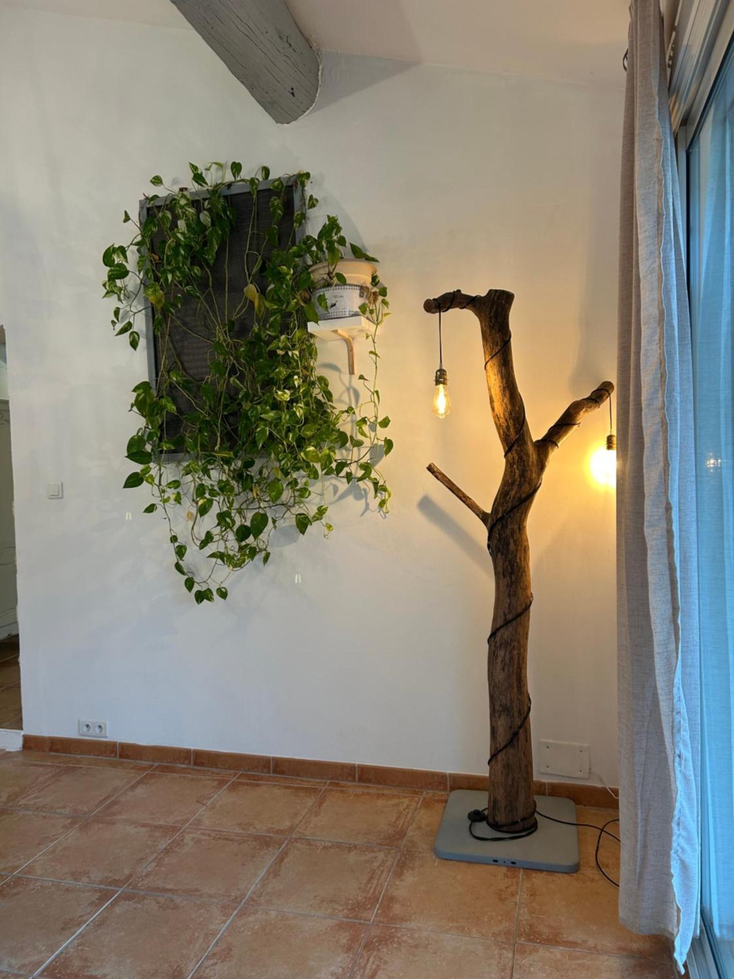 Le Mazet Des Joncs En Provence Villa Saint-Pierre-de-Vassols Eksteriør billede