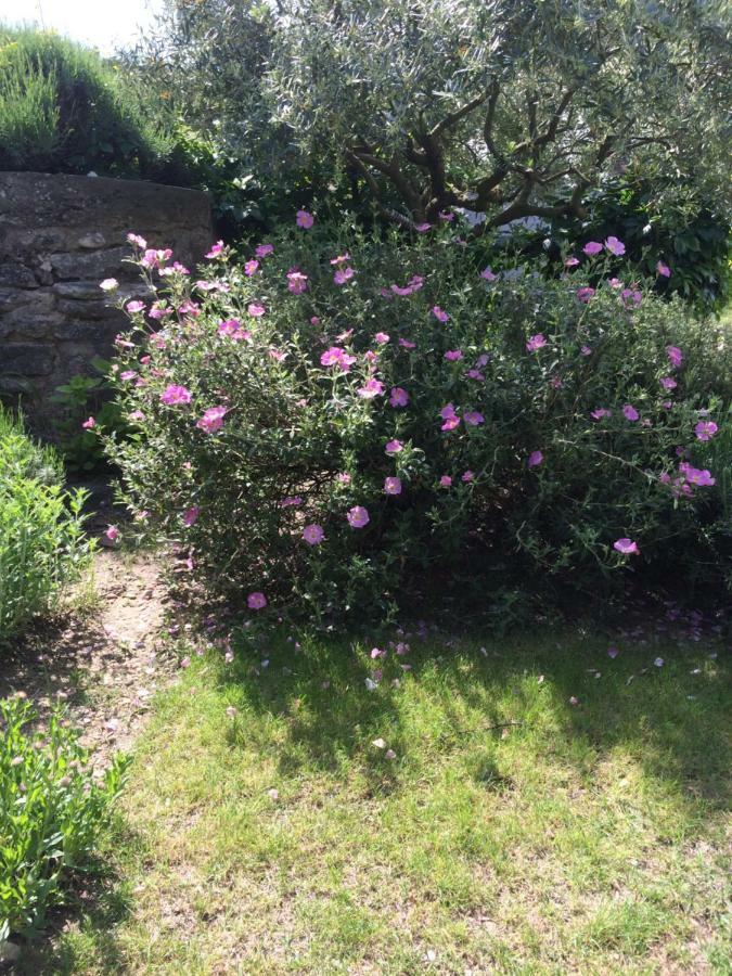 Le Mazet Des Joncs En Provence Villa Saint-Pierre-de-Vassols Eksteriør billede