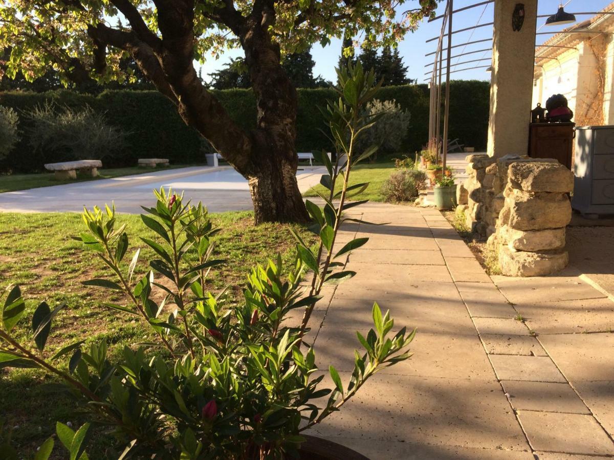 Le Mazet Des Joncs En Provence Villa Saint-Pierre-de-Vassols Eksteriør billede