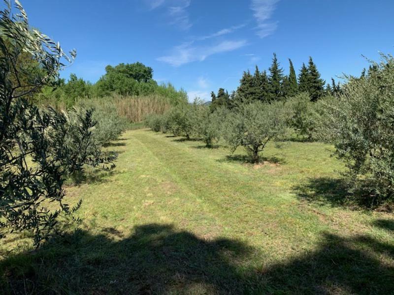 Le Mazet Des Joncs En Provence Villa Saint-Pierre-de-Vassols Eksteriør billede