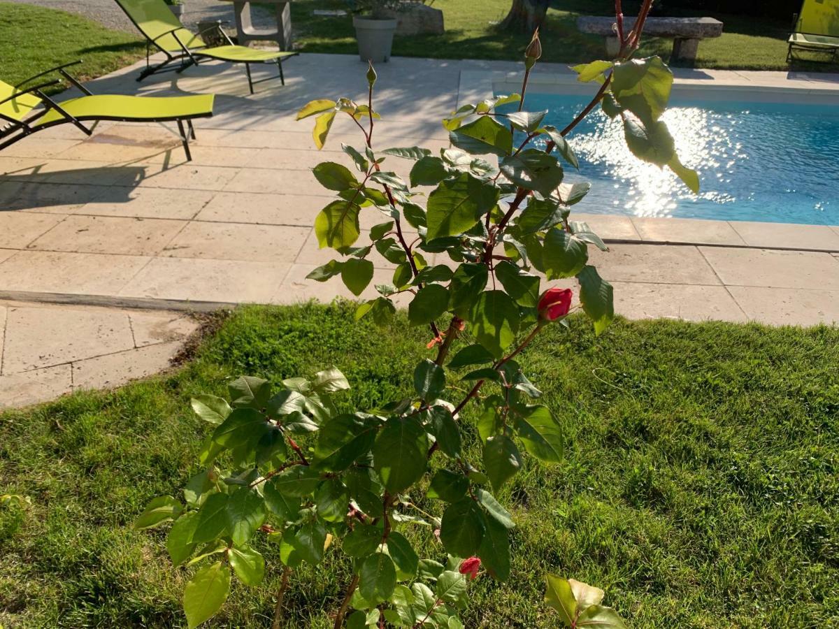Le Mazet Des Joncs En Provence Villa Saint-Pierre-de-Vassols Eksteriør billede